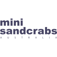 Mini Sandcrabs